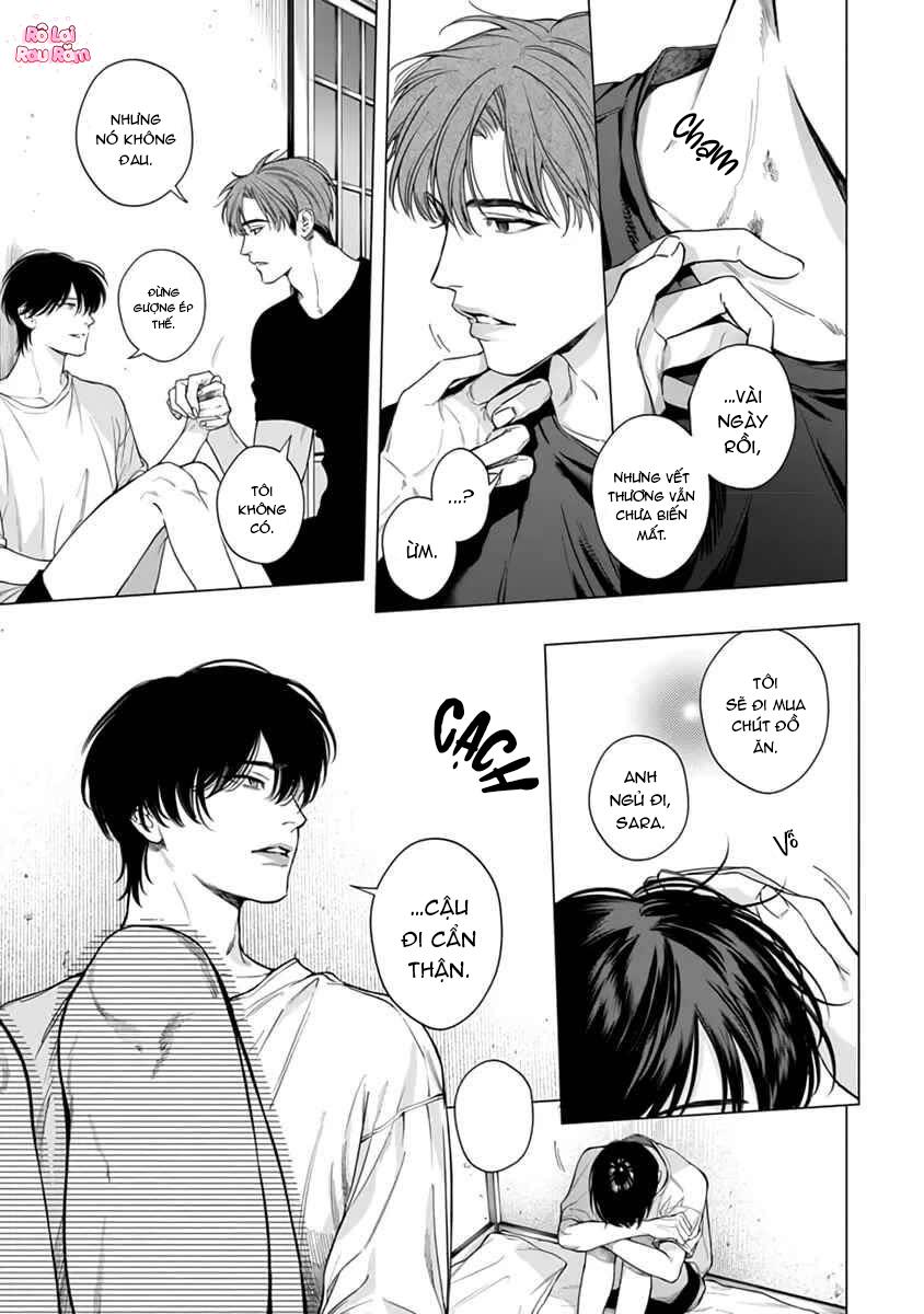 Viên Grarnet Trong Bóng Tối Chapter 5 - Next Chapter 6