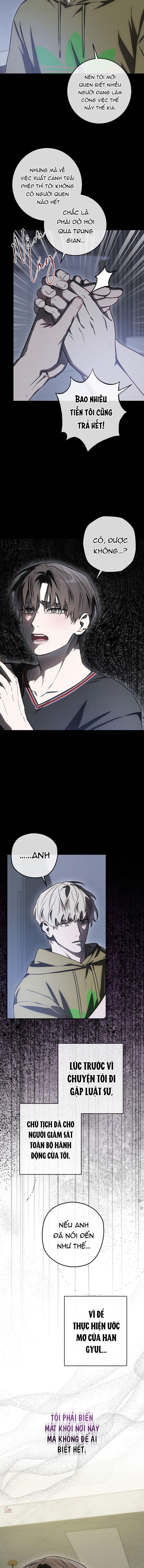 BẢO VẬT Chapter 35 - Trang 2