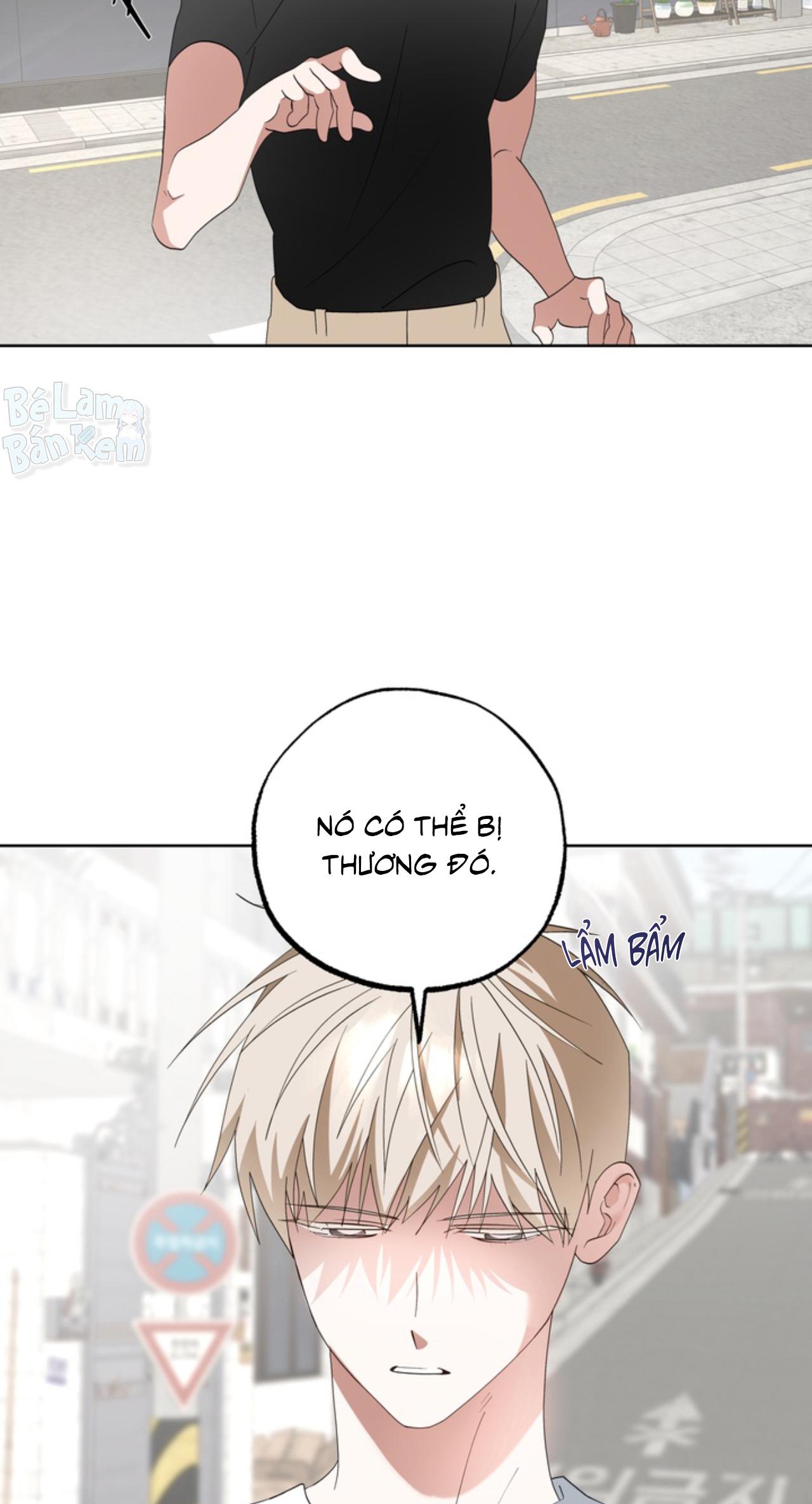 XIN HÃY YÊU THƯƠNG DÙ TÔI LÀ CHUỘT Chapter 6 - Trang 2