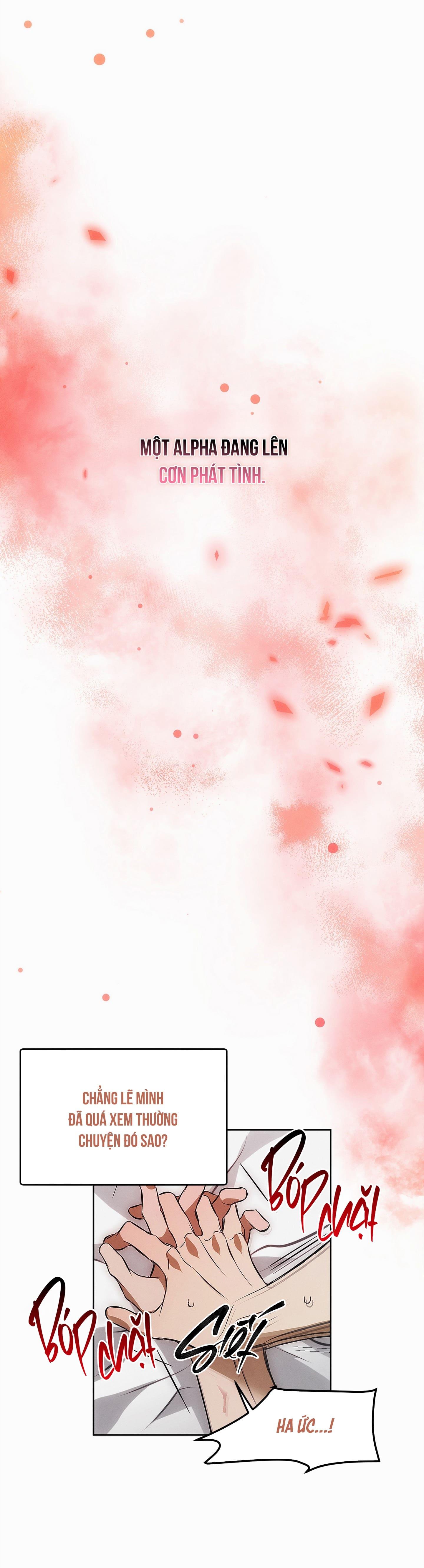 [DDT] BẪY CHUỘT Chapter 3 19+ - Trang 2