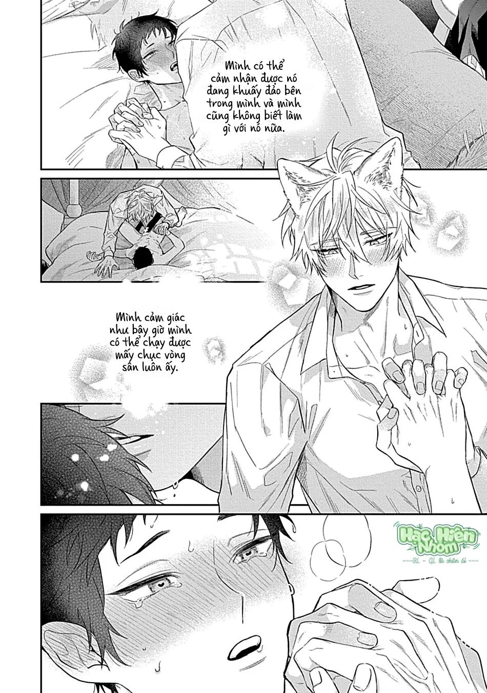 Nhìn vào em này Chapter 12 Hachiennhom - Next 