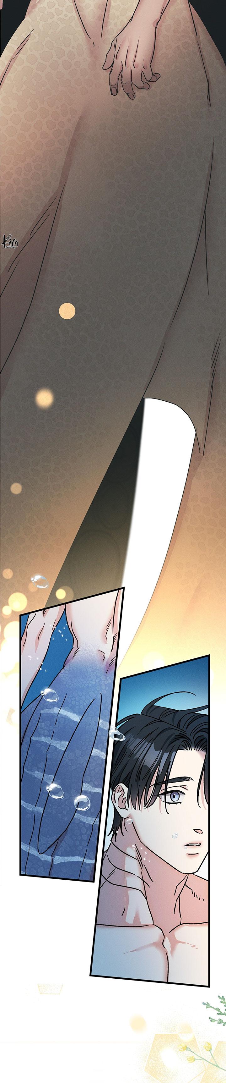 Mermaid's Cradle Chapter 3 - Trang 2