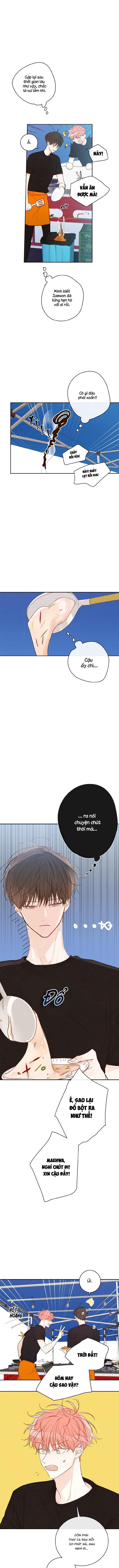 Thiên Đường Táo Xanh Chapter 116 - Next 