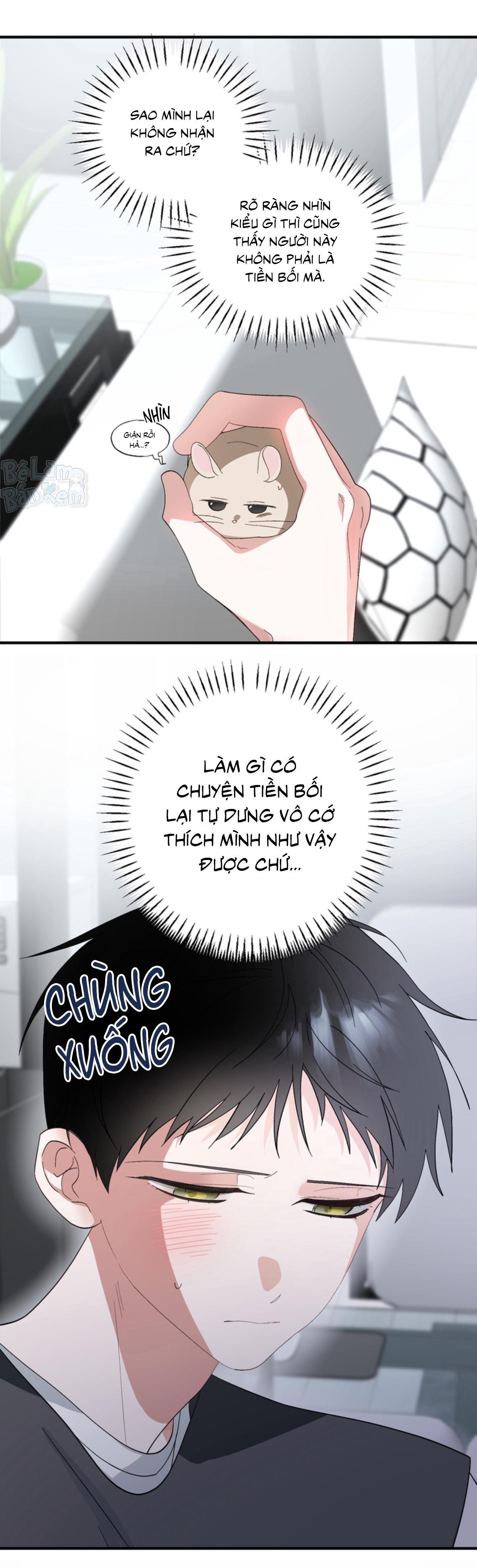 XIN HÃY YÊU THƯƠNG DÙ TÔI LÀ CHUỘT Chapter 3 - Trang 2