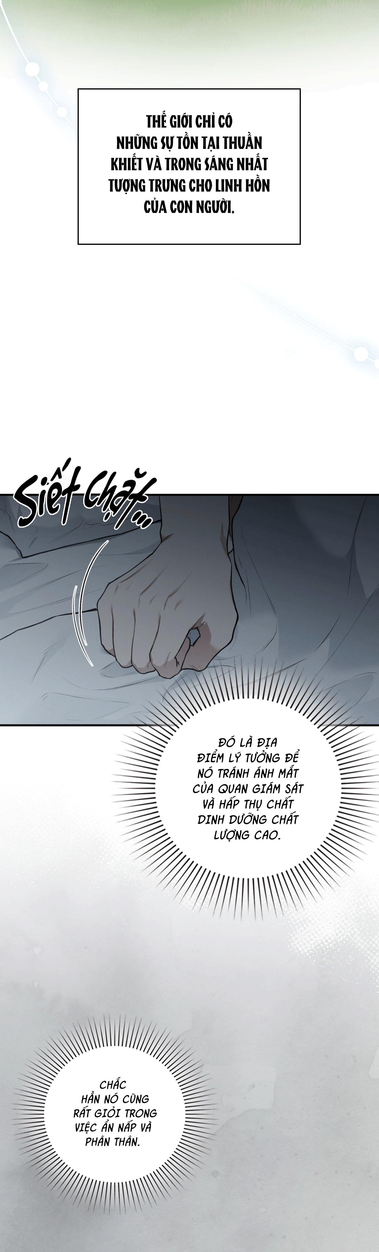 SỨ GIẢ THẦN CHẾT Chapter 37 - Next Chapter 38