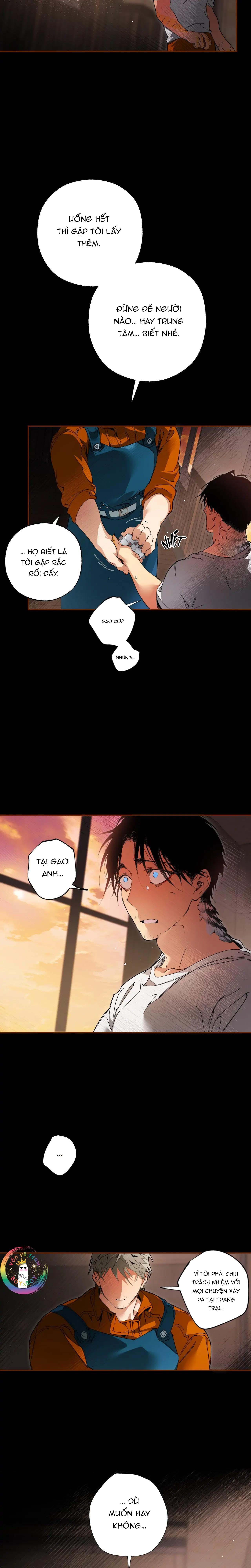 Trang Trại Của Mr.A Chapter 14 - Trang 2