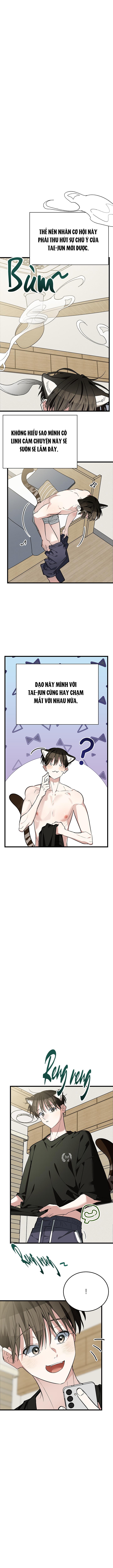 (Daisy) Sinh mèo con cho tôi mau trước khi thằng này điên lên Chapter 9 - Trang 2