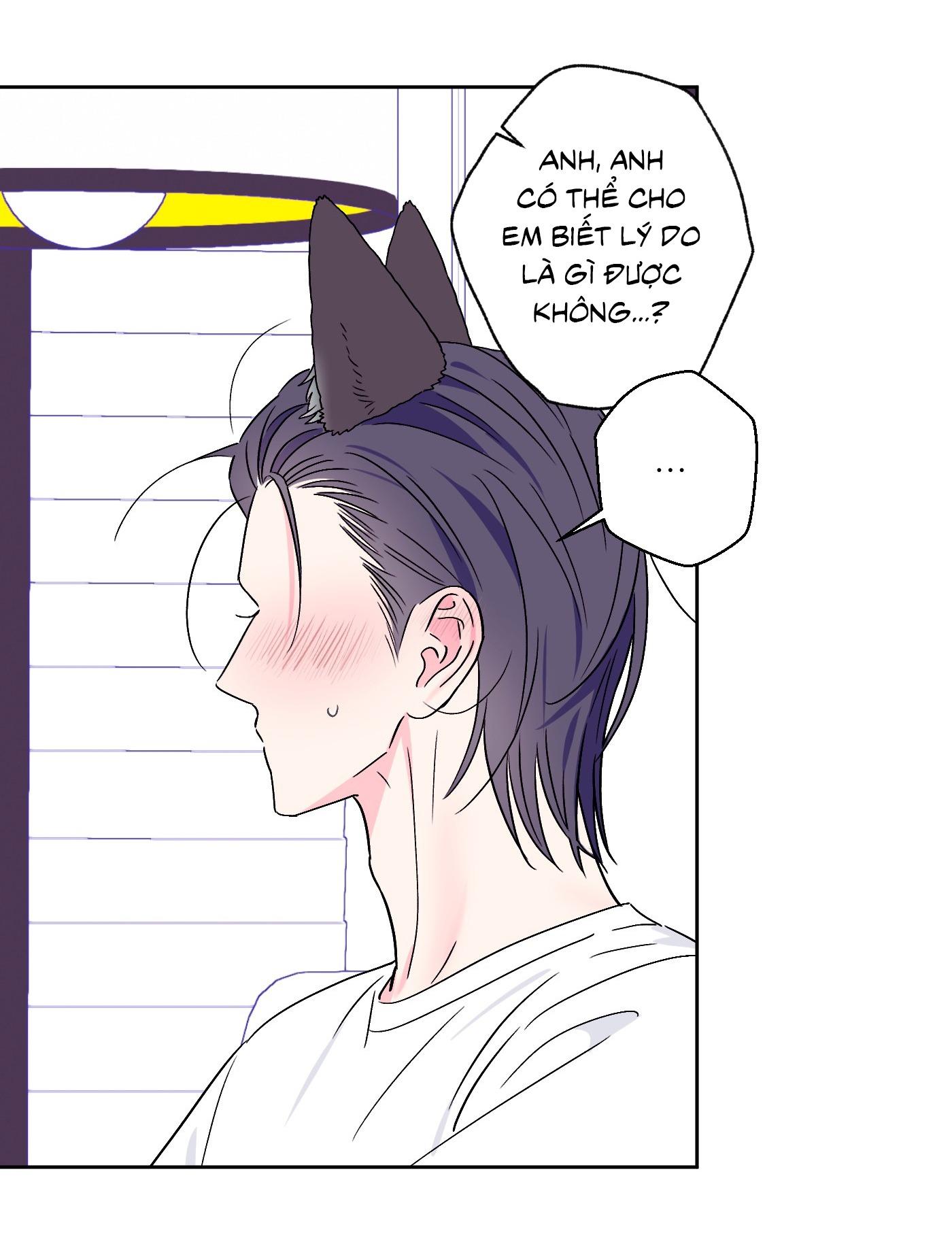 Vụ bê bối của Beta Chapter 55 Bé mèo - Next 