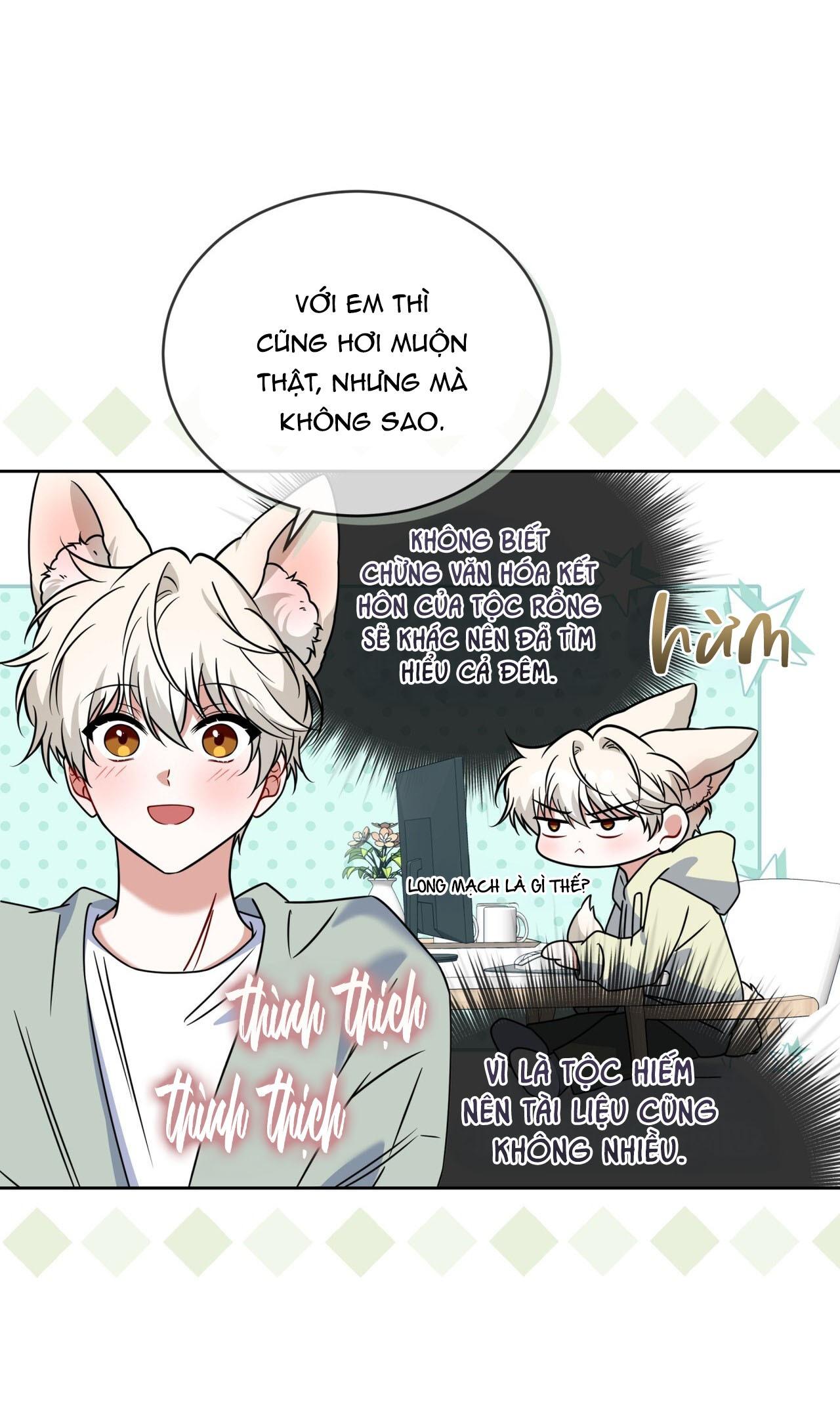 NƯỚC UỐNG TÌNH YÊU CỦA CÁO PLIN Chapter 47 - Next Chapter 48