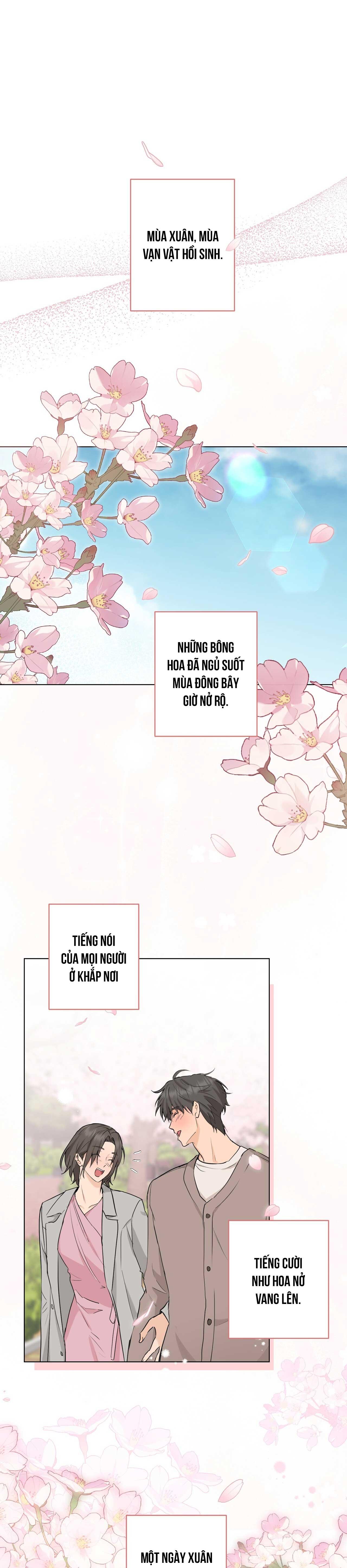 TÌNH YÊU KẸO BẠC HÀ Chapter 13 - Next 