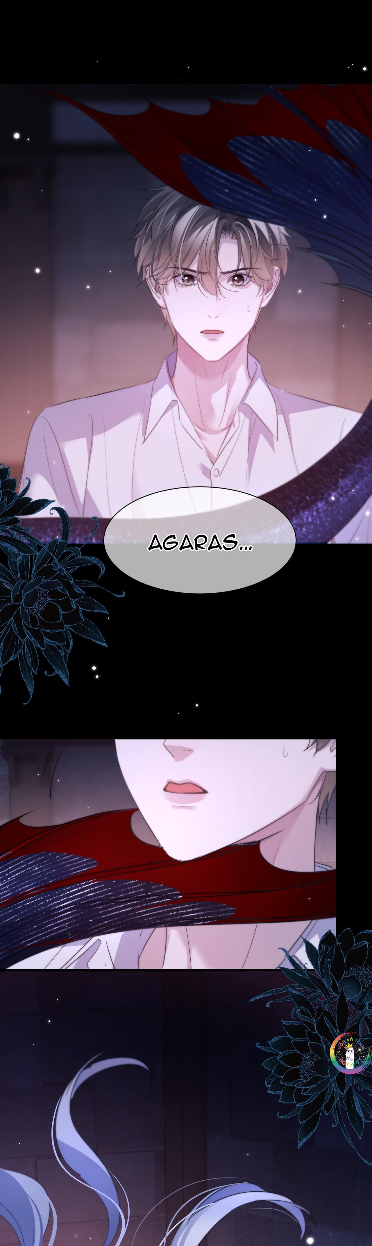 Nhân Ngư Desharow Chapter 111 - Next 