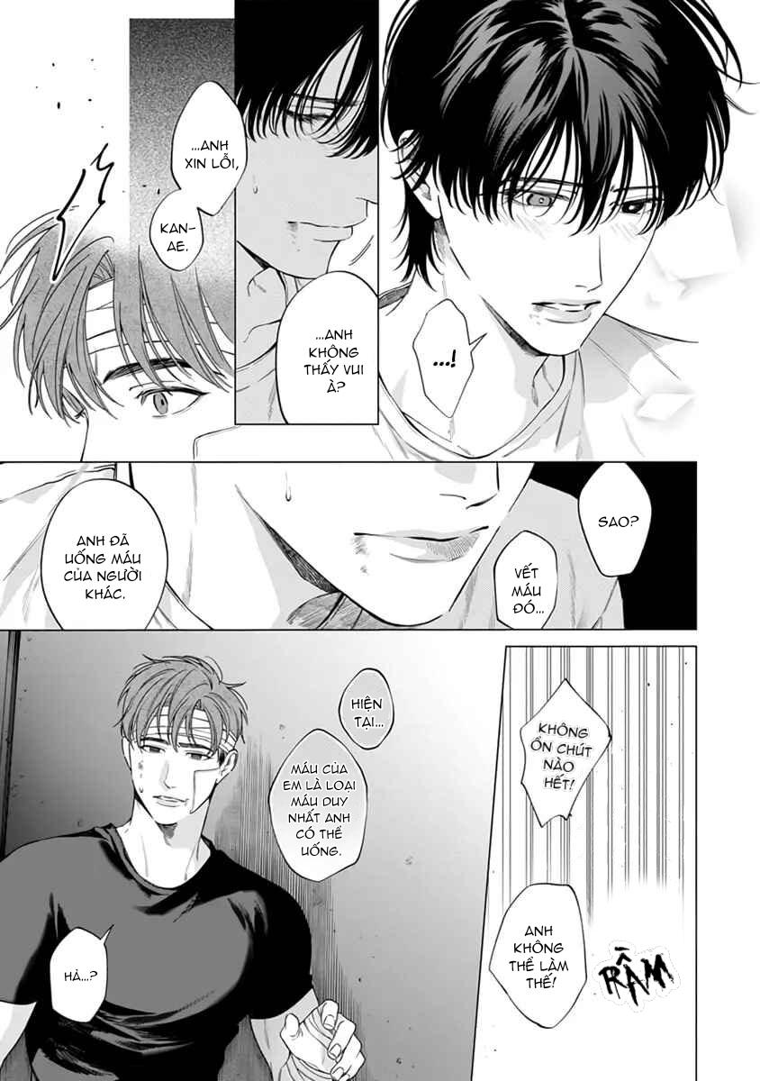 Viên Grarnet Trong Bóng Tối Chapter 6 - Next Chapter 7