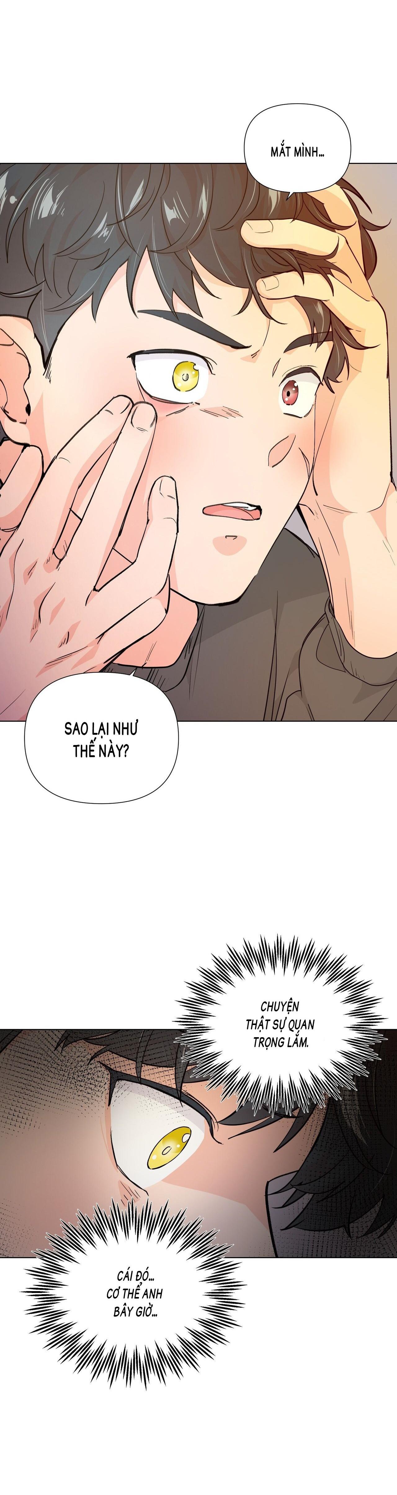 BÁNH GẠO SINH NHẬT CỦA HỔ Chapter 1 - Trang 2
