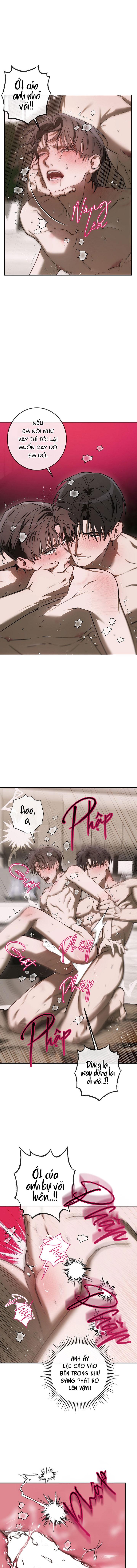 BẢO VẬT Chapter 33 - Next Chapter 34