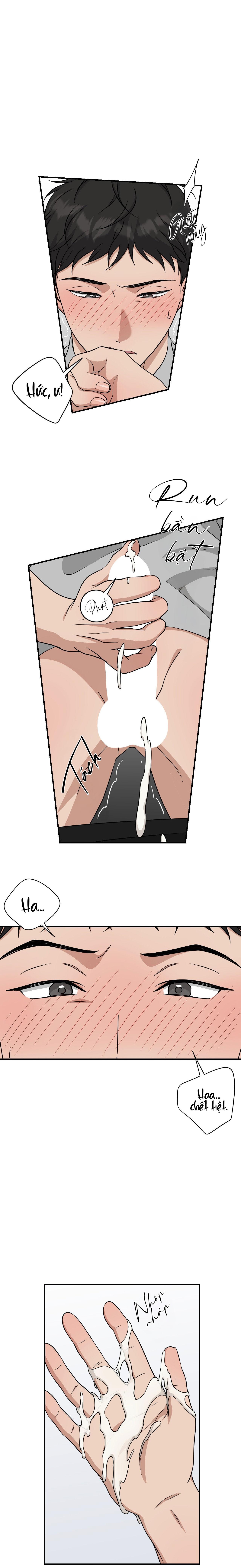 HONEYBEE Chapter 13 - Next 