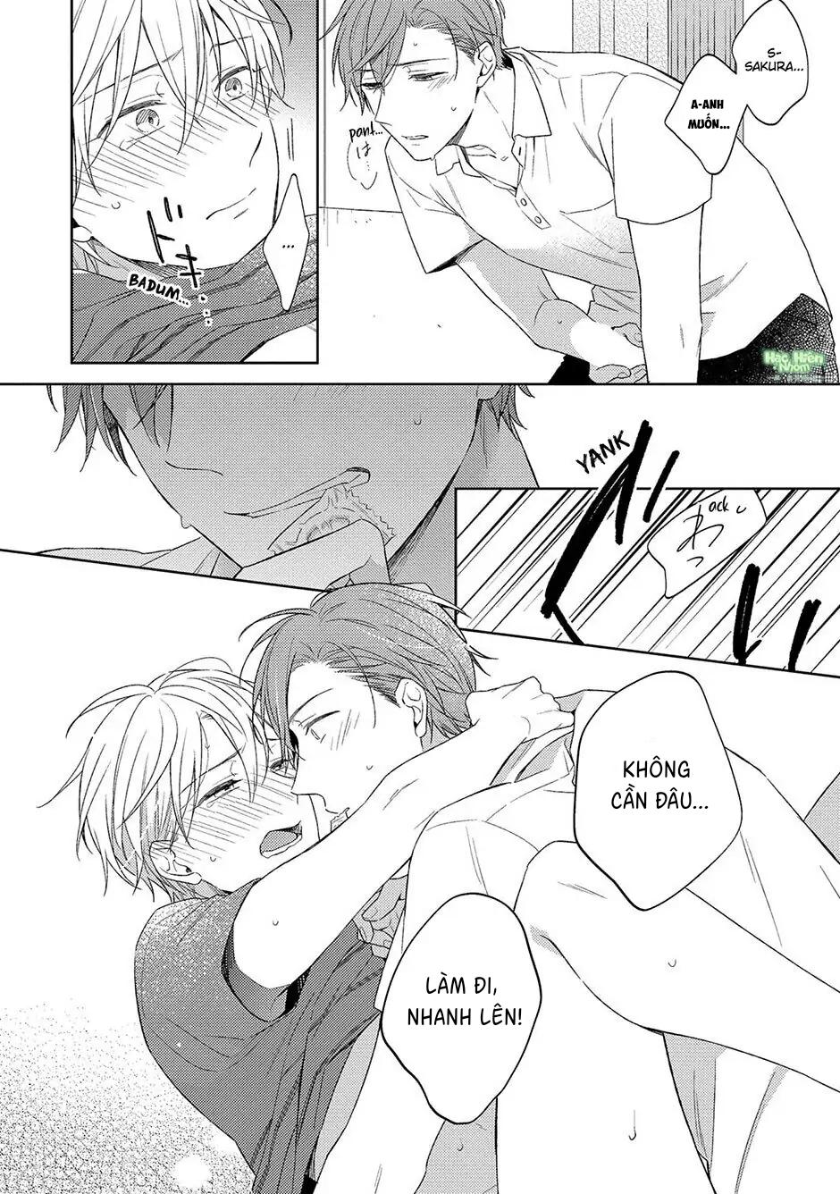 Tình Yêu Nở Trên Cành Đào Ngược Gió Chapter 5 Hachiennhom - Next 