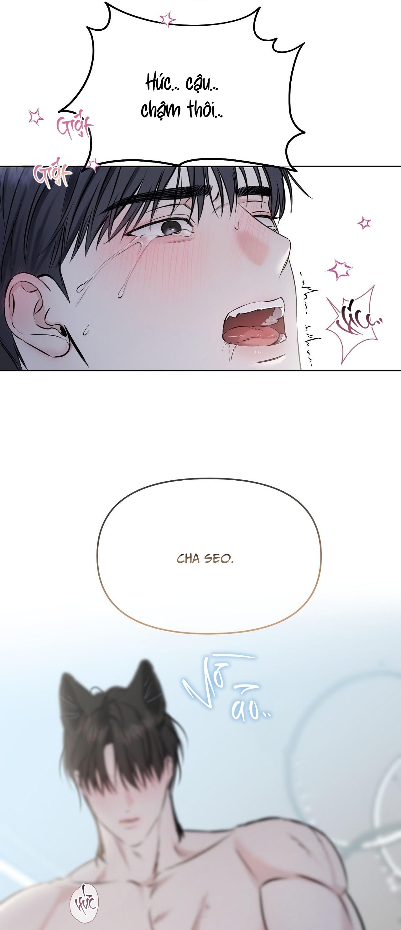 (GĐCV) ÁNH NẮNG LEN LỎI Chapter 7 - Next 