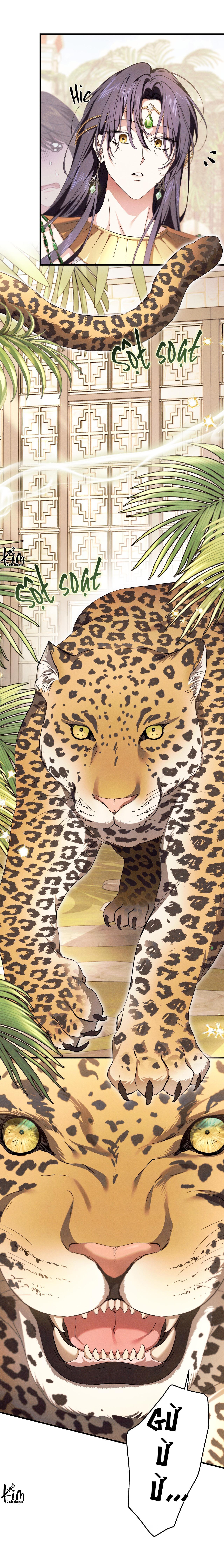 RẮN NUỐT LỰU Chapter 23 - Next Chapter 24