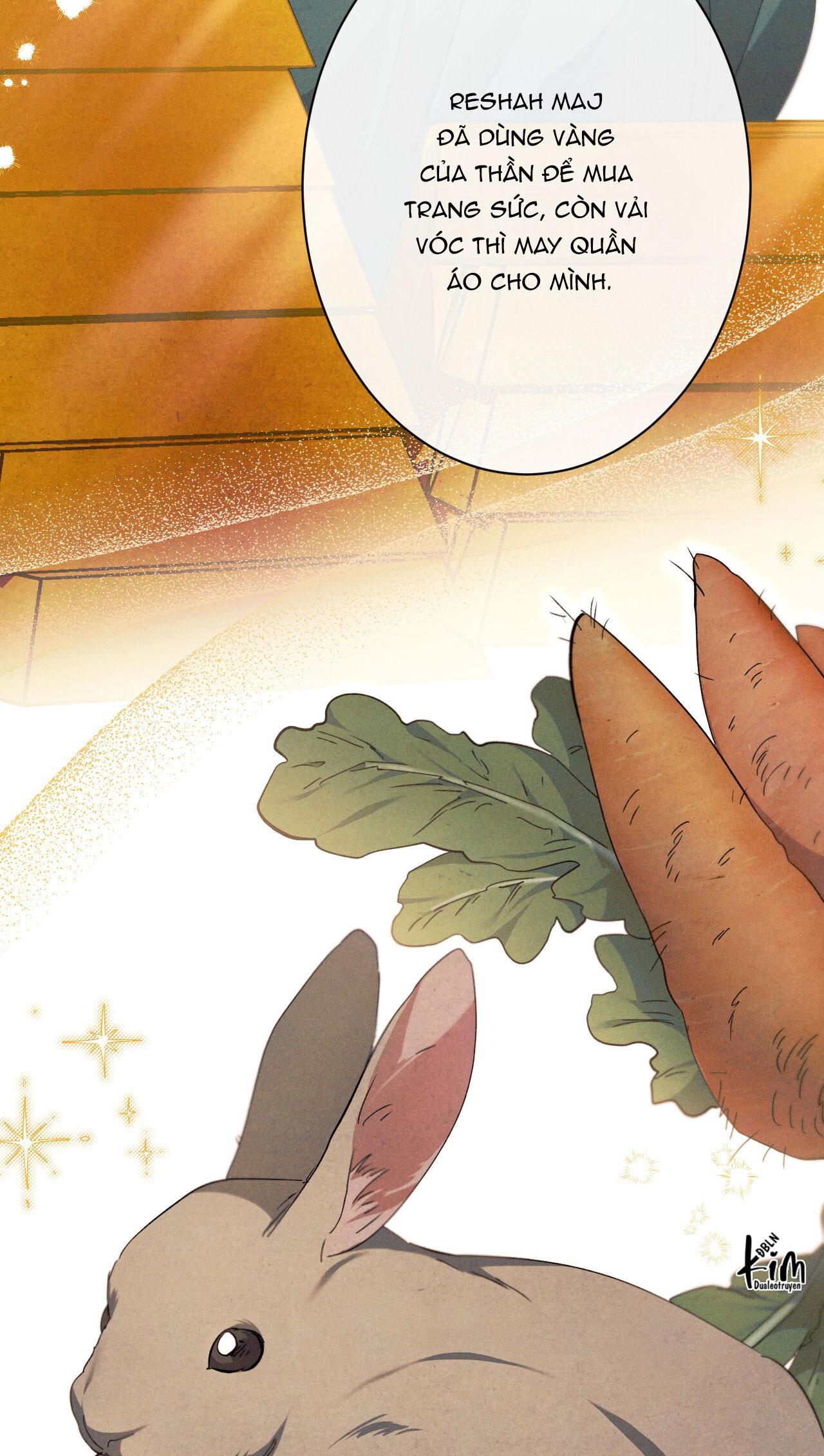 RẮN NUỐT LỰU Chapter 24 - Trang 2