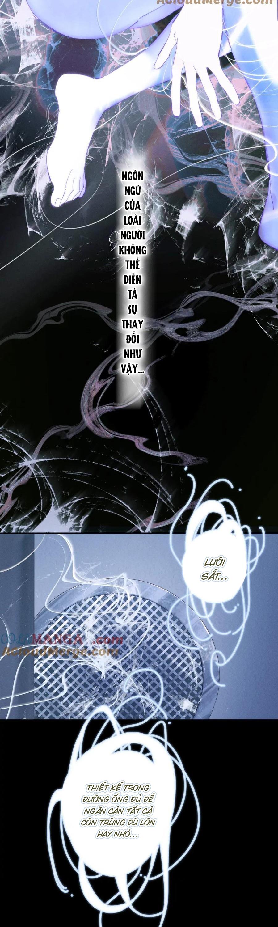 Cây Nấm Nhỏ Chapter 63 - Next 