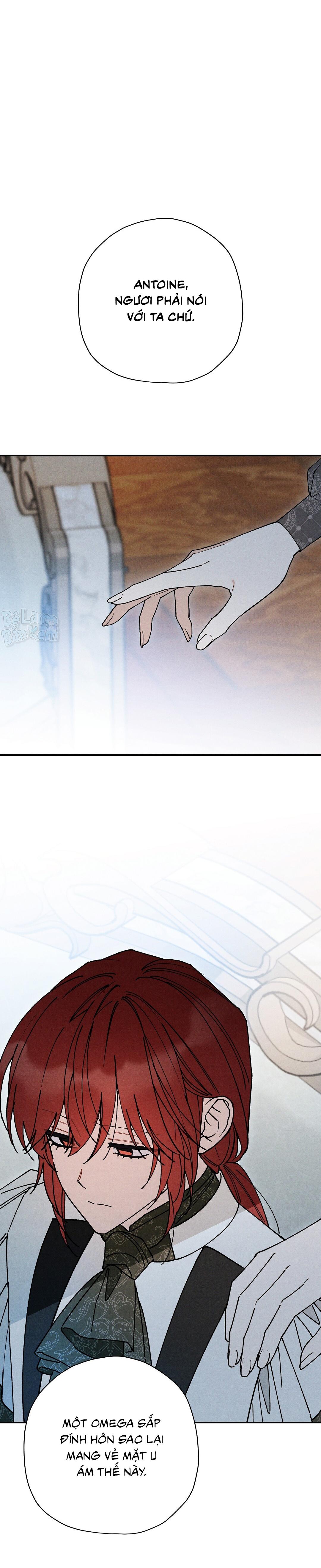 HOÀNG TỬ HƯ HỎNG CHE GIẤU MÌNH LÀ OMEGA Chapter 87 - Next Chapter 88