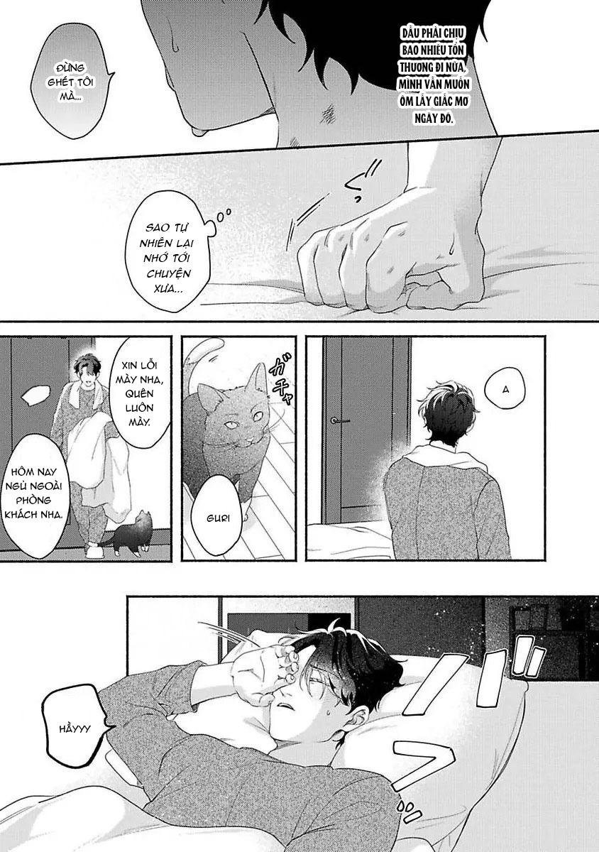 Chú mèo tinh nghịch và giấc mơ giữa ban ngày Chapter 3 - Trang 2