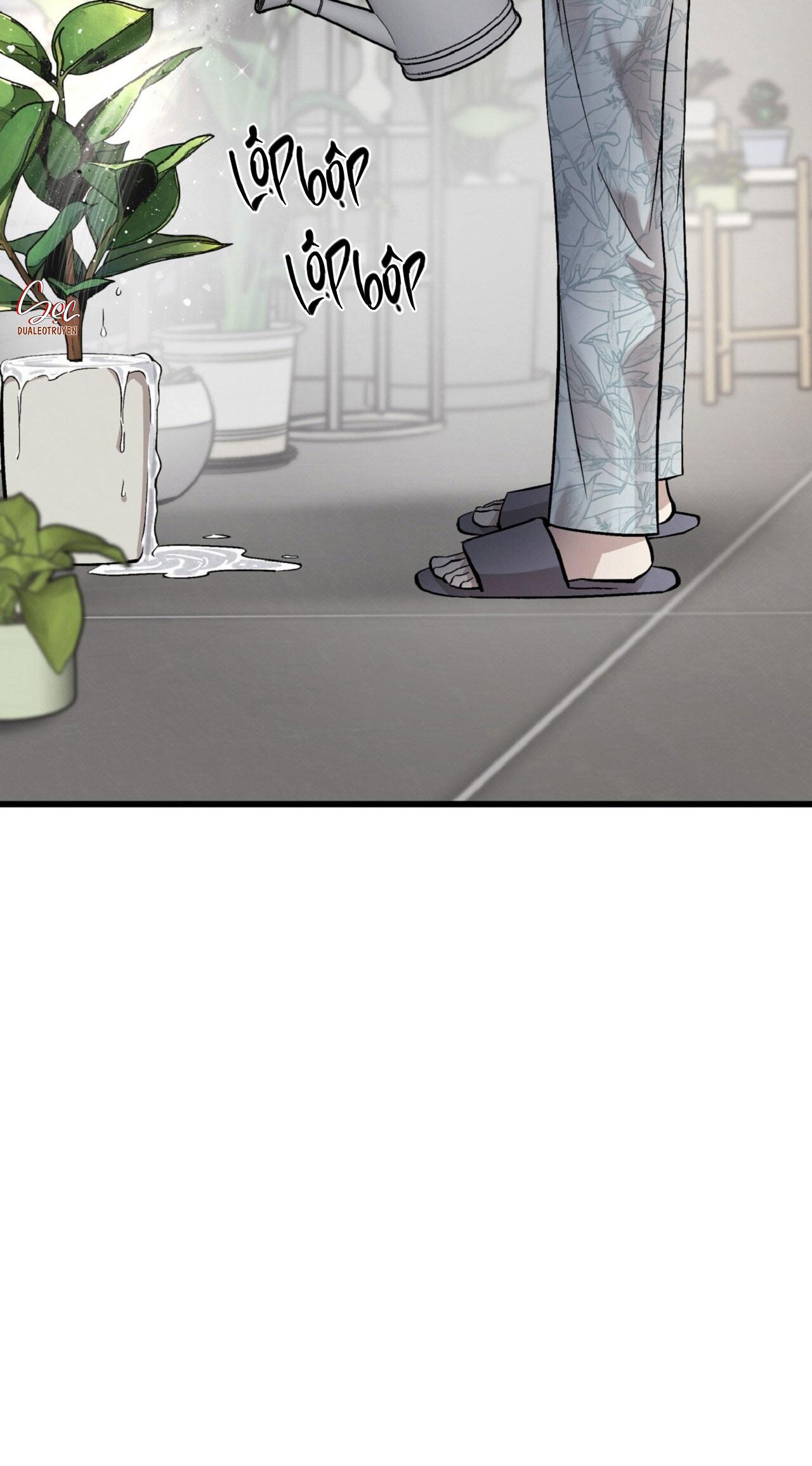 HONEY BEAR Chapter 69 - Next Chapter 70