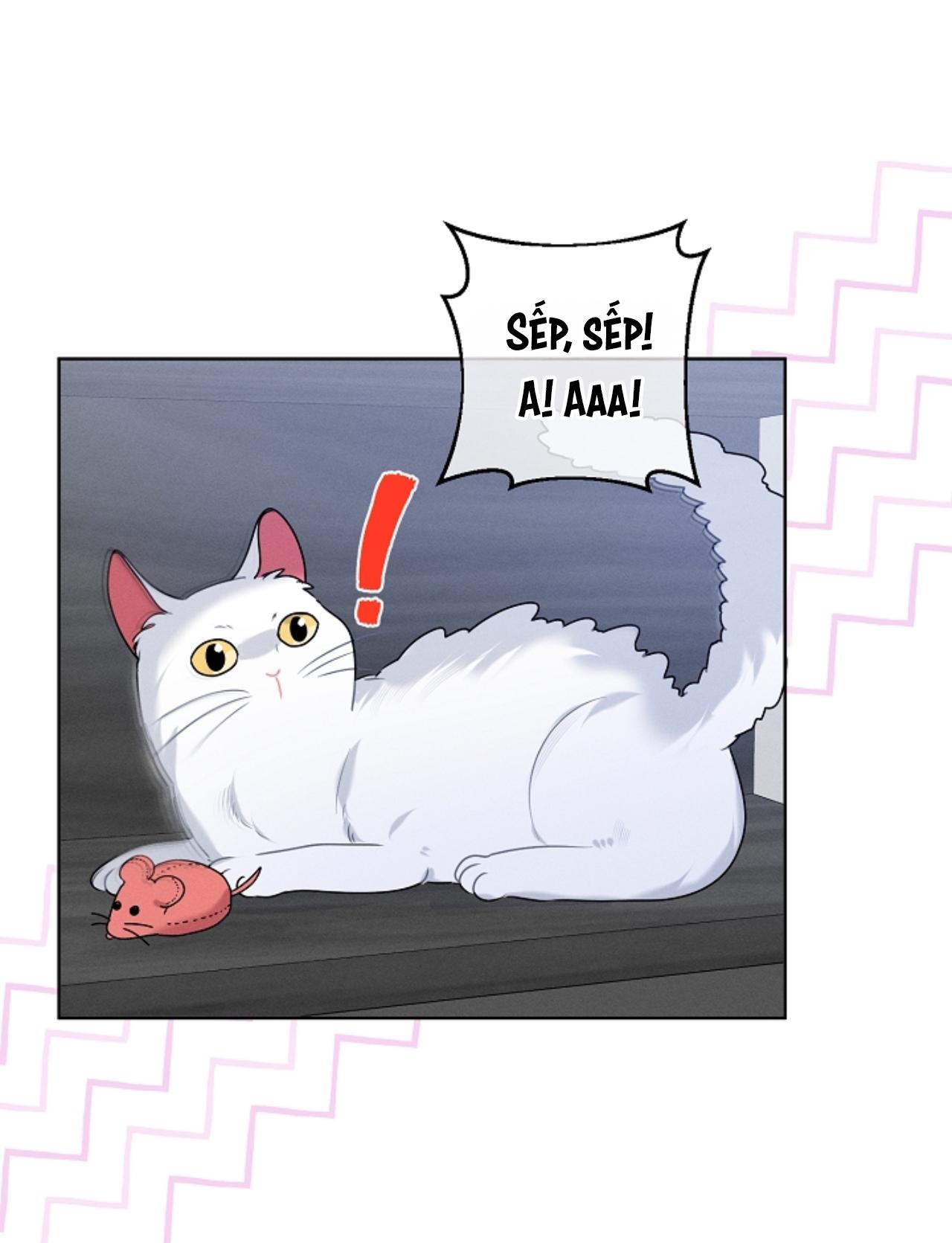 Tố Cáo Sếp Tôi Chapter 34 - Next Chapter 35