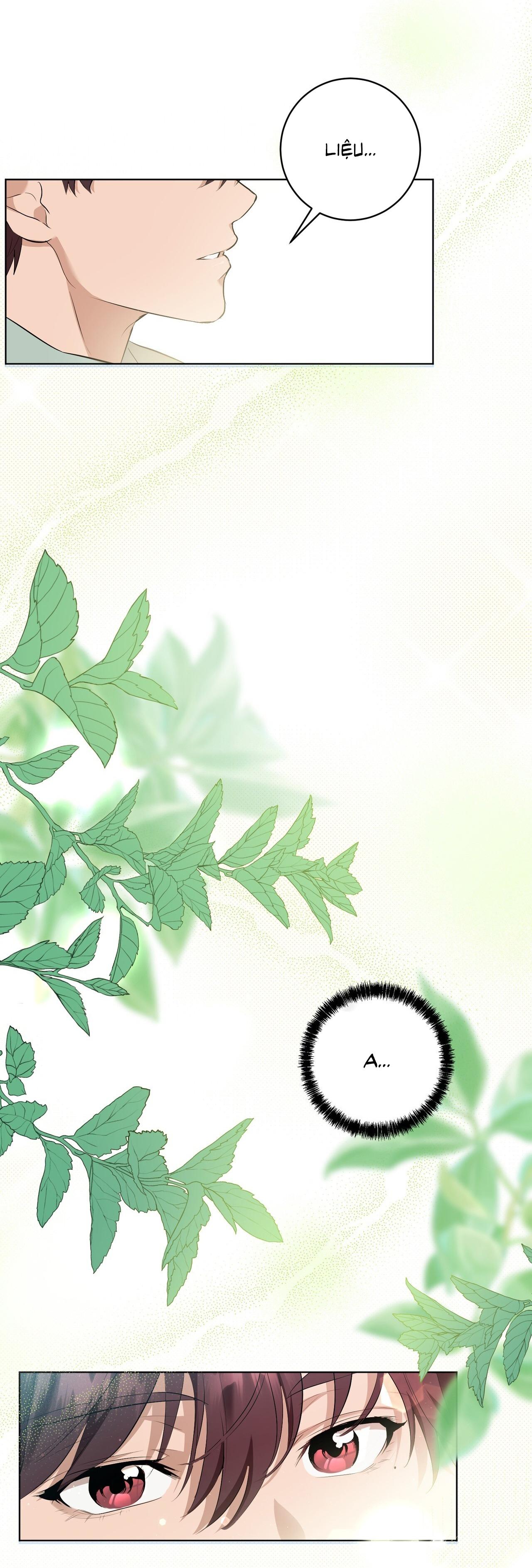 TÌNH YÊU KẸO BẠC HÀ Chapter 1 - Next 