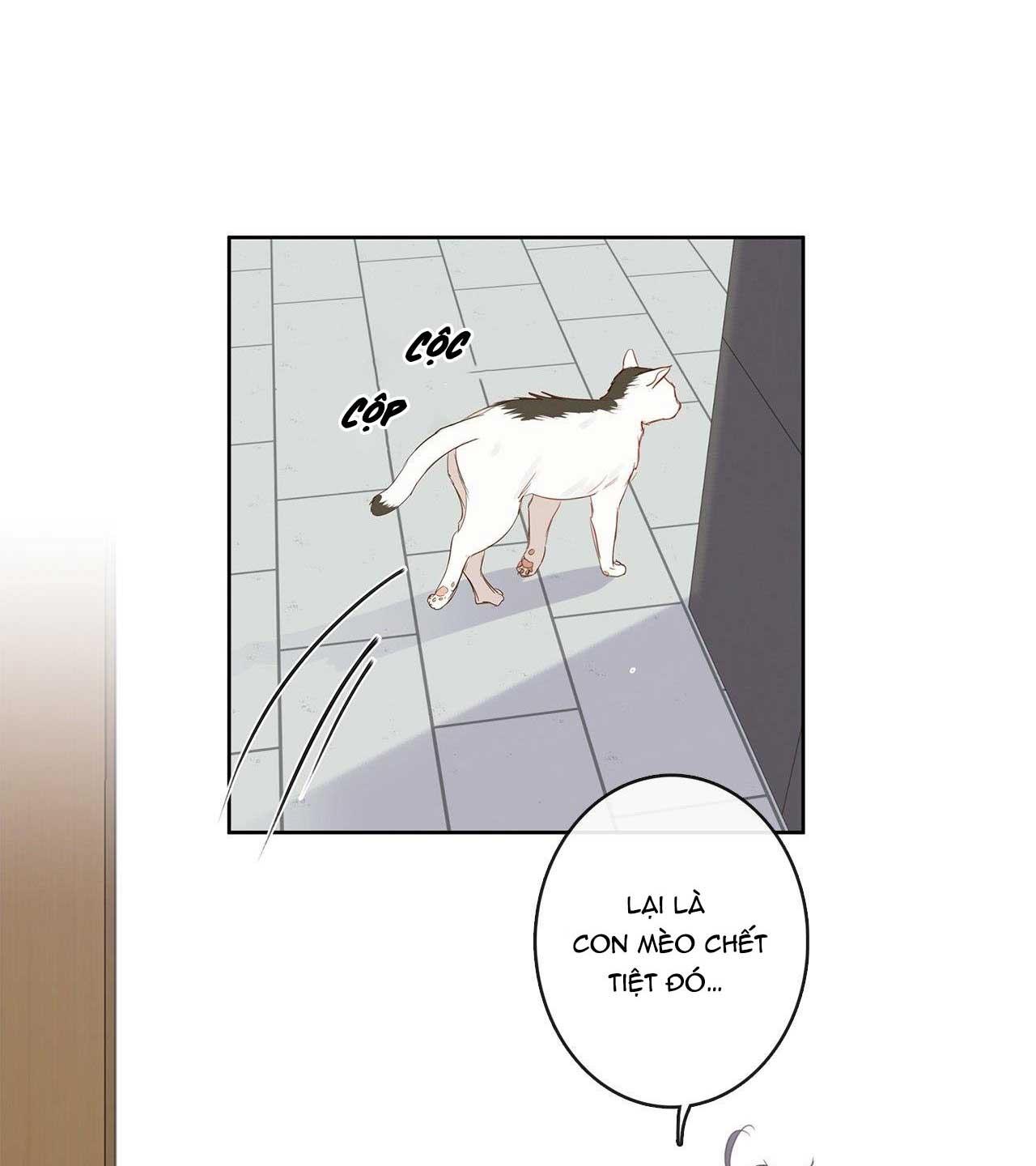 Thiên Đường Táo Xanh Chapter 115 - Next 