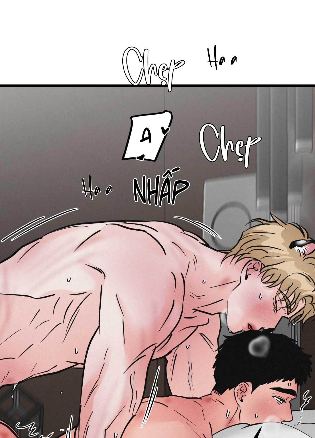 CẶP ĐÔI HOÀN HẢO Chapter 48 - Next Chapter 49
