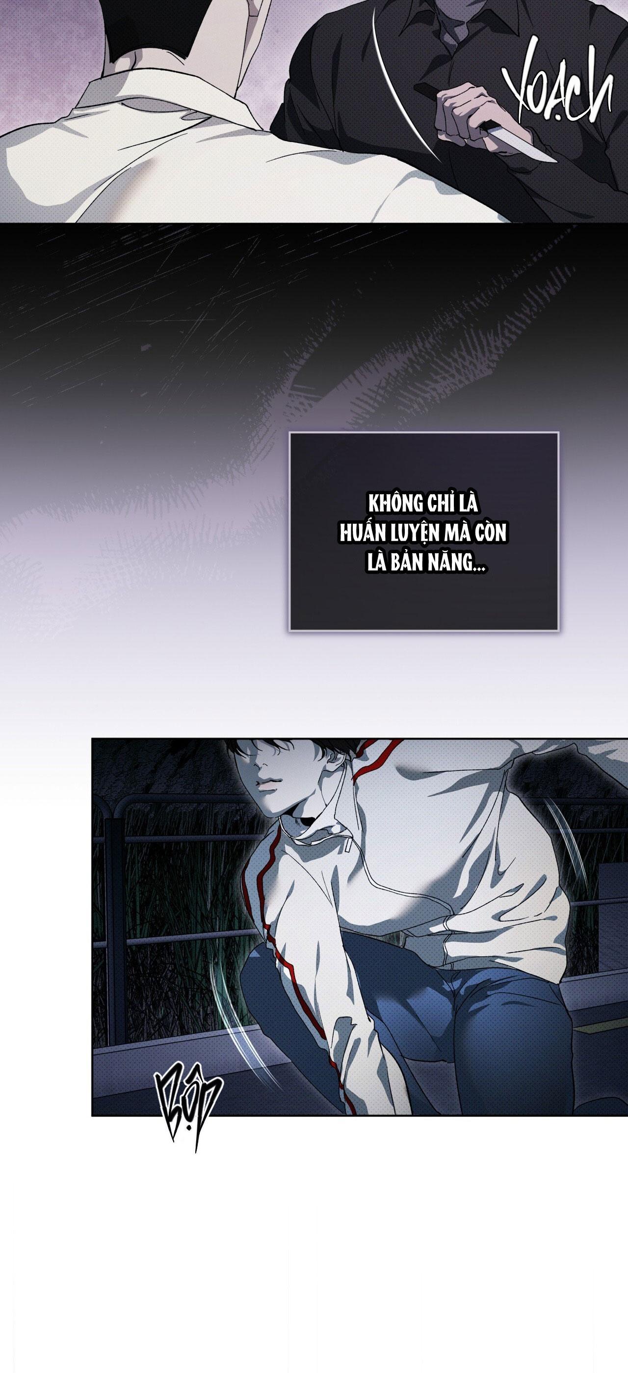 NGUỒN GỐC TIẾN HÓA Chapter 13 - Next 