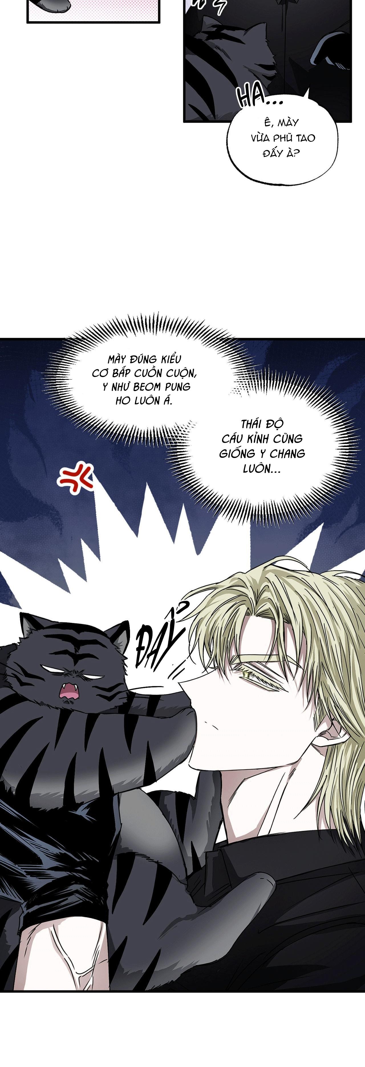 MẮT BÃO Chapter 14 - Next 