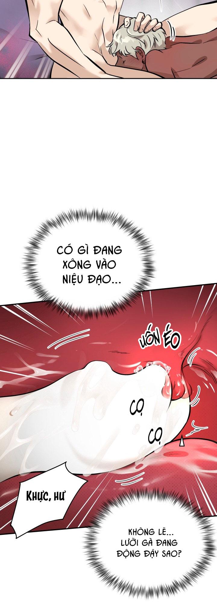 THÚ CƯNG DAMDANG Chapter 8.2 whipping 2 - Trang 2
