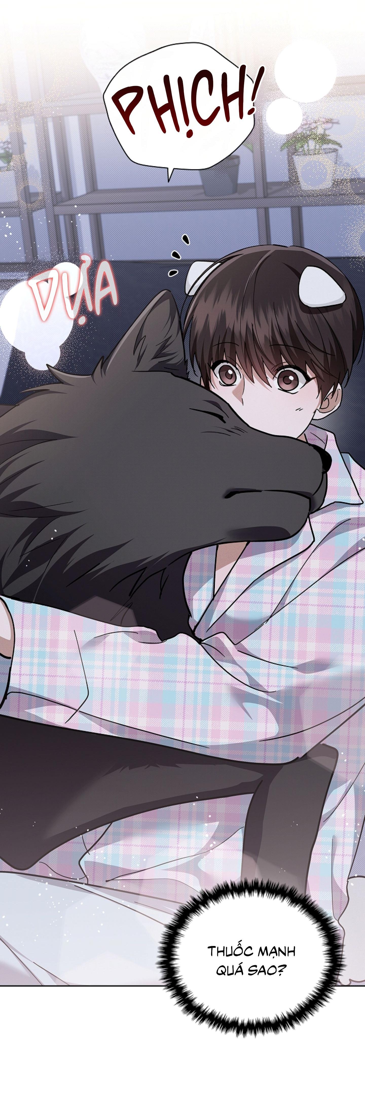ĐỪNG ĐỘNG VÀO CÚN CON! Chapter 44.07 - Next 