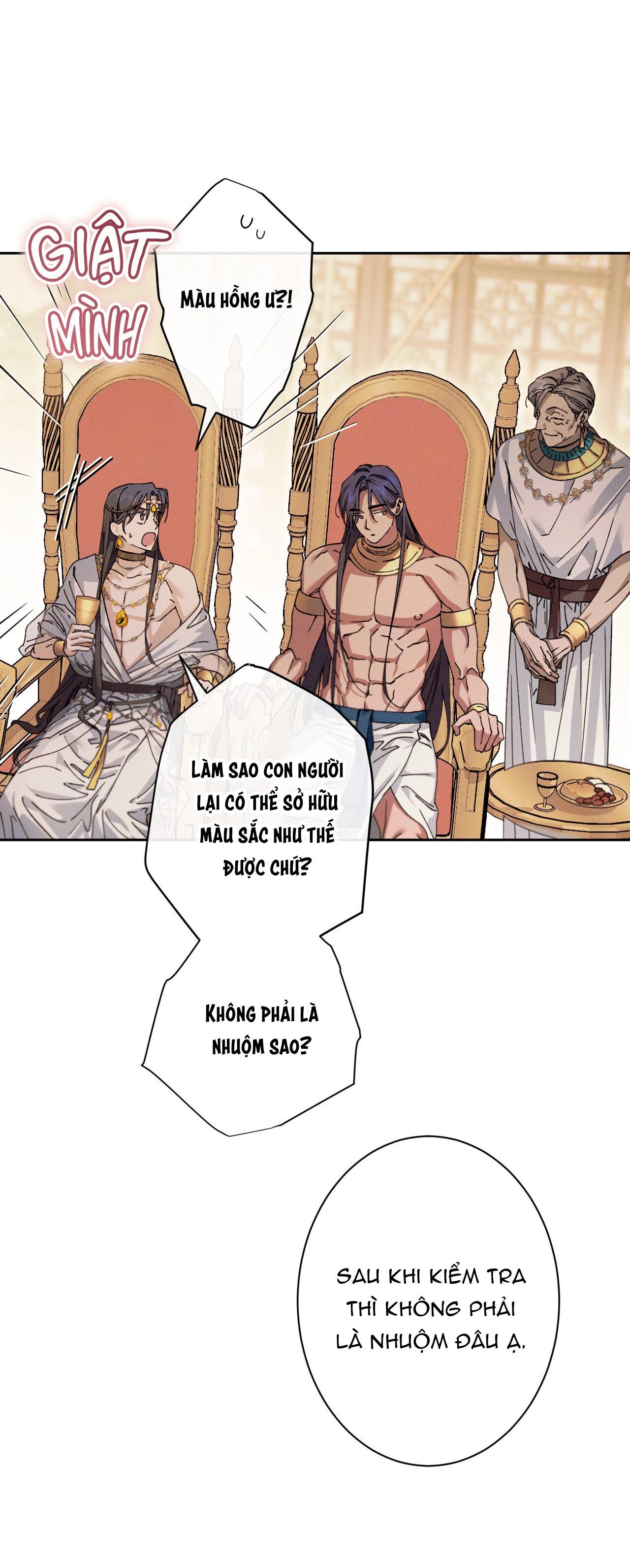RẮN NUỐT LỰU Chapter 2 - Next 