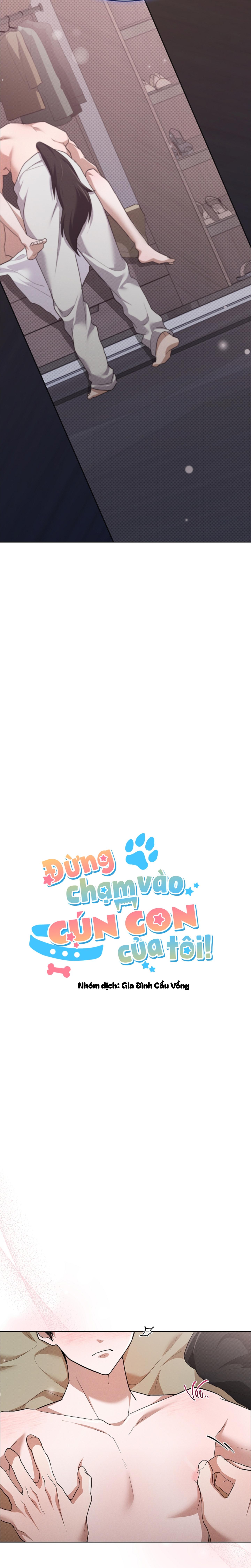 ĐỪNG CHẠM VÀO CÚN CON CỦA TÔI Chapter 48 NT4 - Next 