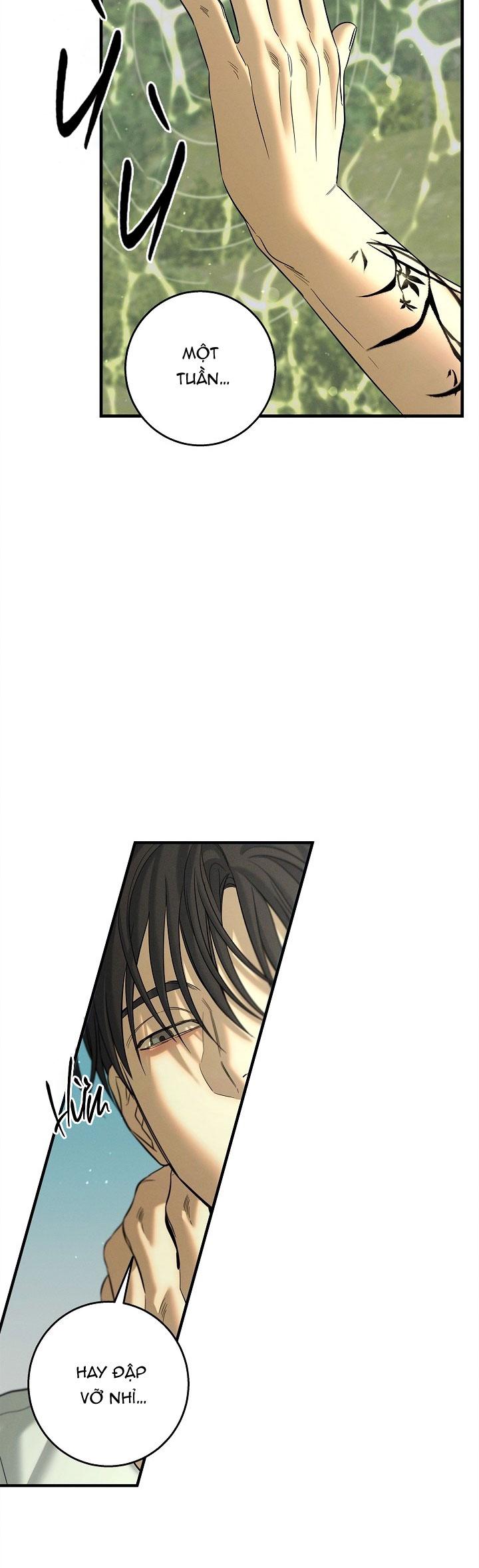 ĐÊM KHÔNG DẤU VẾT Chapter 57 - Next Chapter 58