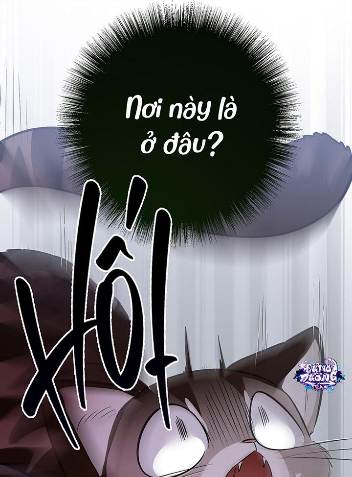 [DDT] HÃY SINH NHẤT MIÊU HÀI WILDCAT, NHƯ BẤT DỤC KIẾN NGÃ PHÁT CUỒNG! Chapter 1 19+ - Trang 2