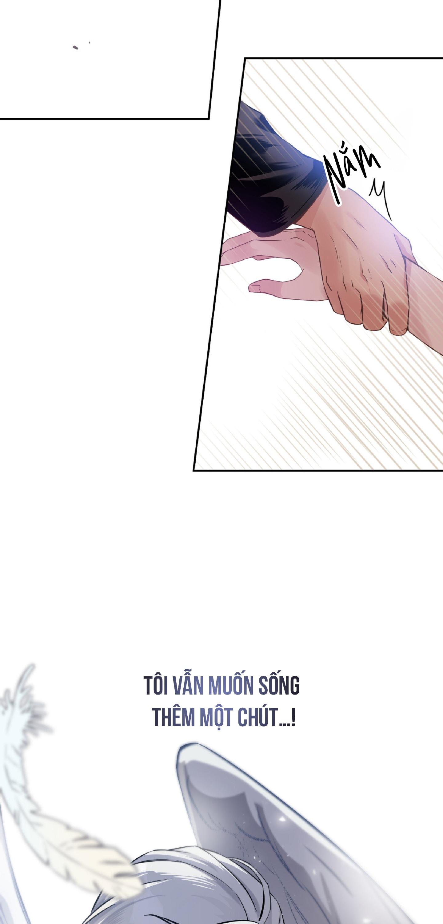 Angel kiss Chapter 1 - Trang 2