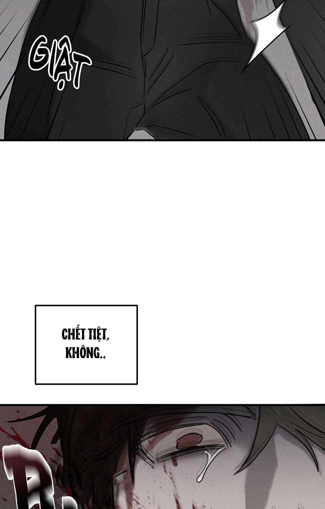 FIETA Chapter 23 - Next 