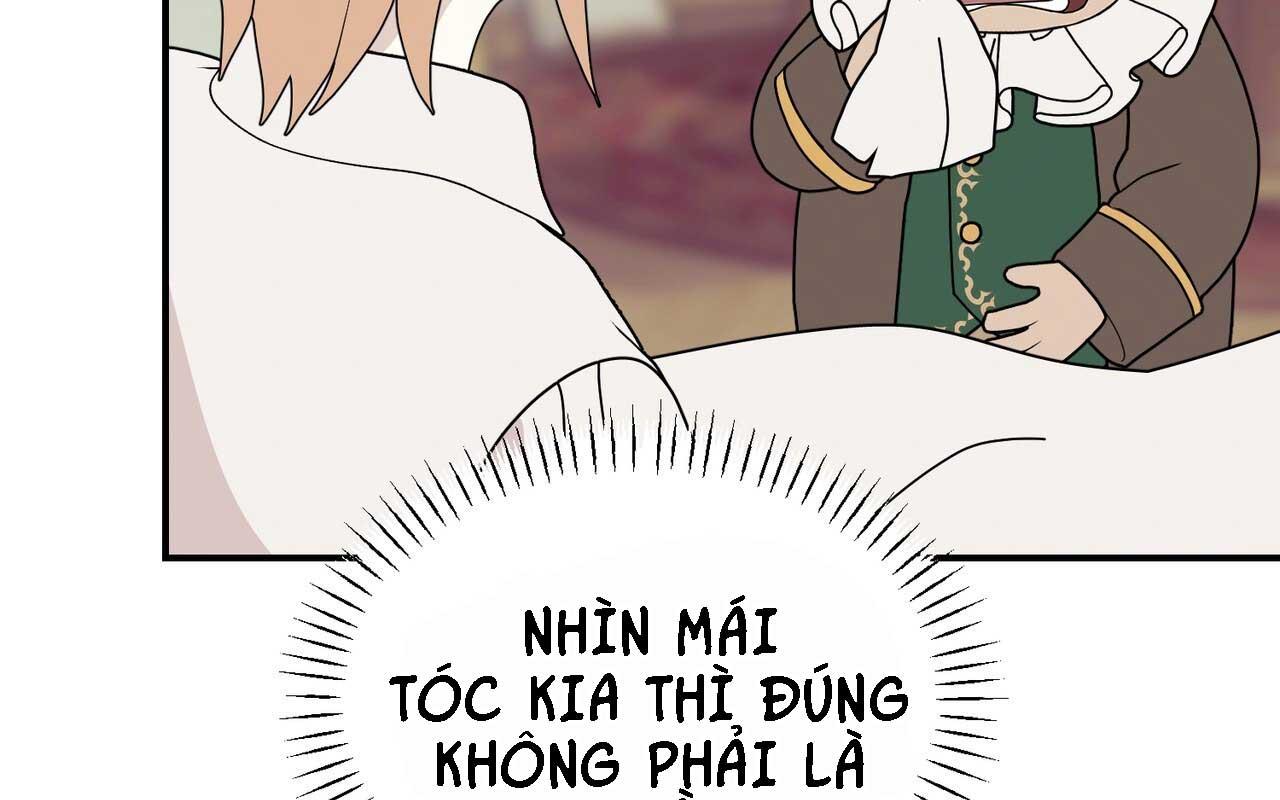 (ABO) ĐÁM CƯỚI HOÀNG GIA Chapter 44 - Next 