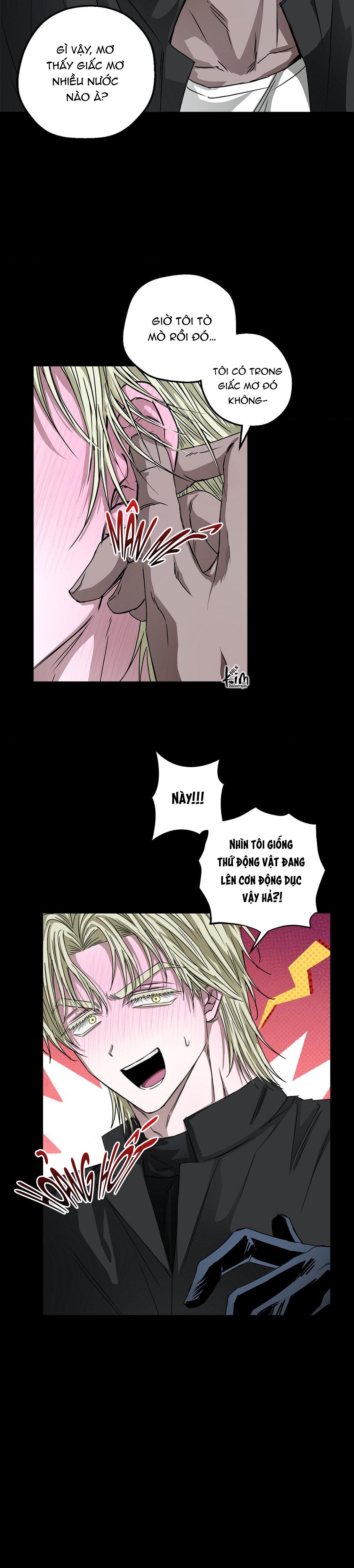 MẮT BÃO Chapter 12 - Next 