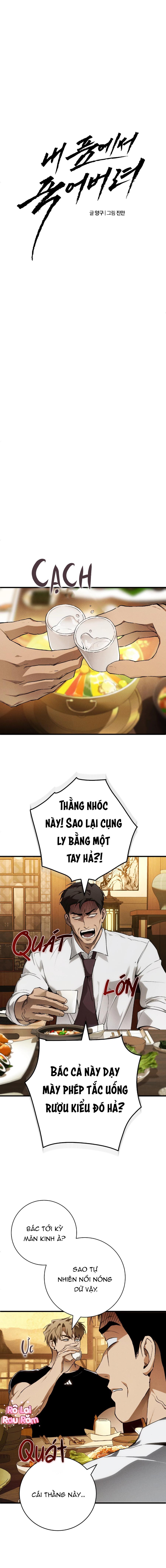 Hãy chết trong vòng tay của tôi Chapter 4 - Trang 2