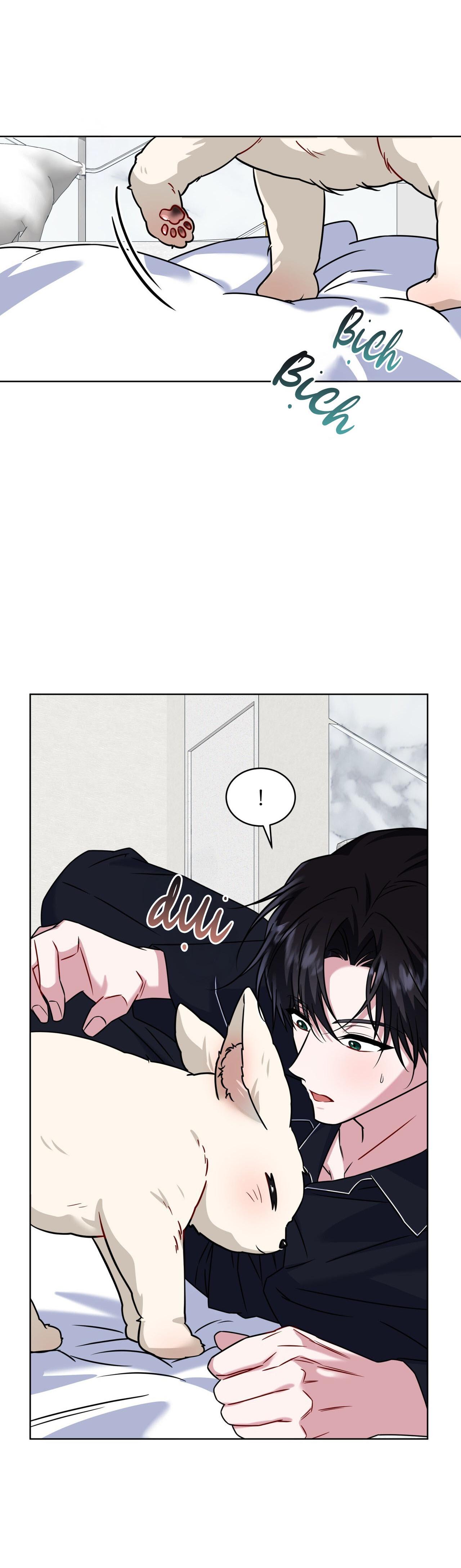 NƯỚC UỐNG TÌNH YÊU CỦA CÁO PLIN Chapter 46 - Next Chapter 47