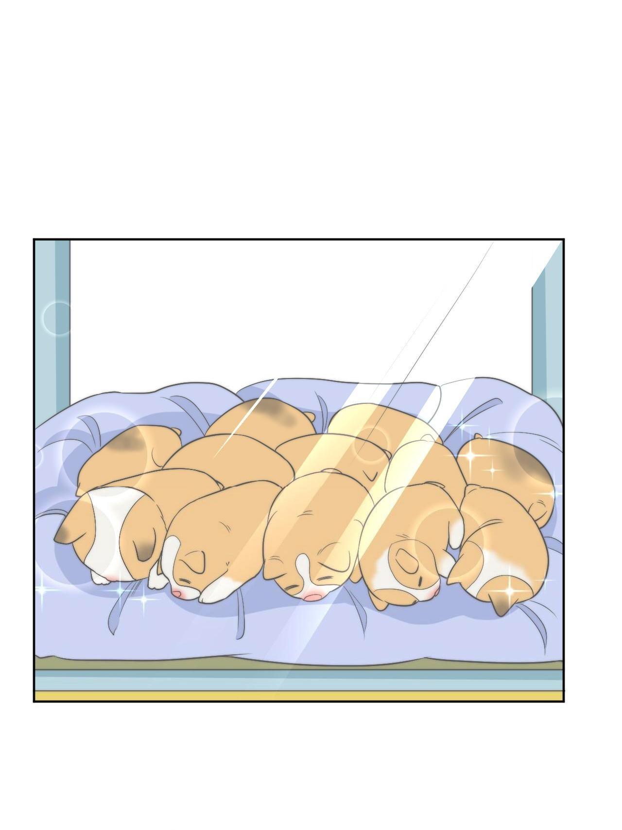 Ký túc xá nam phòng 303 Chapter 256 - Next 