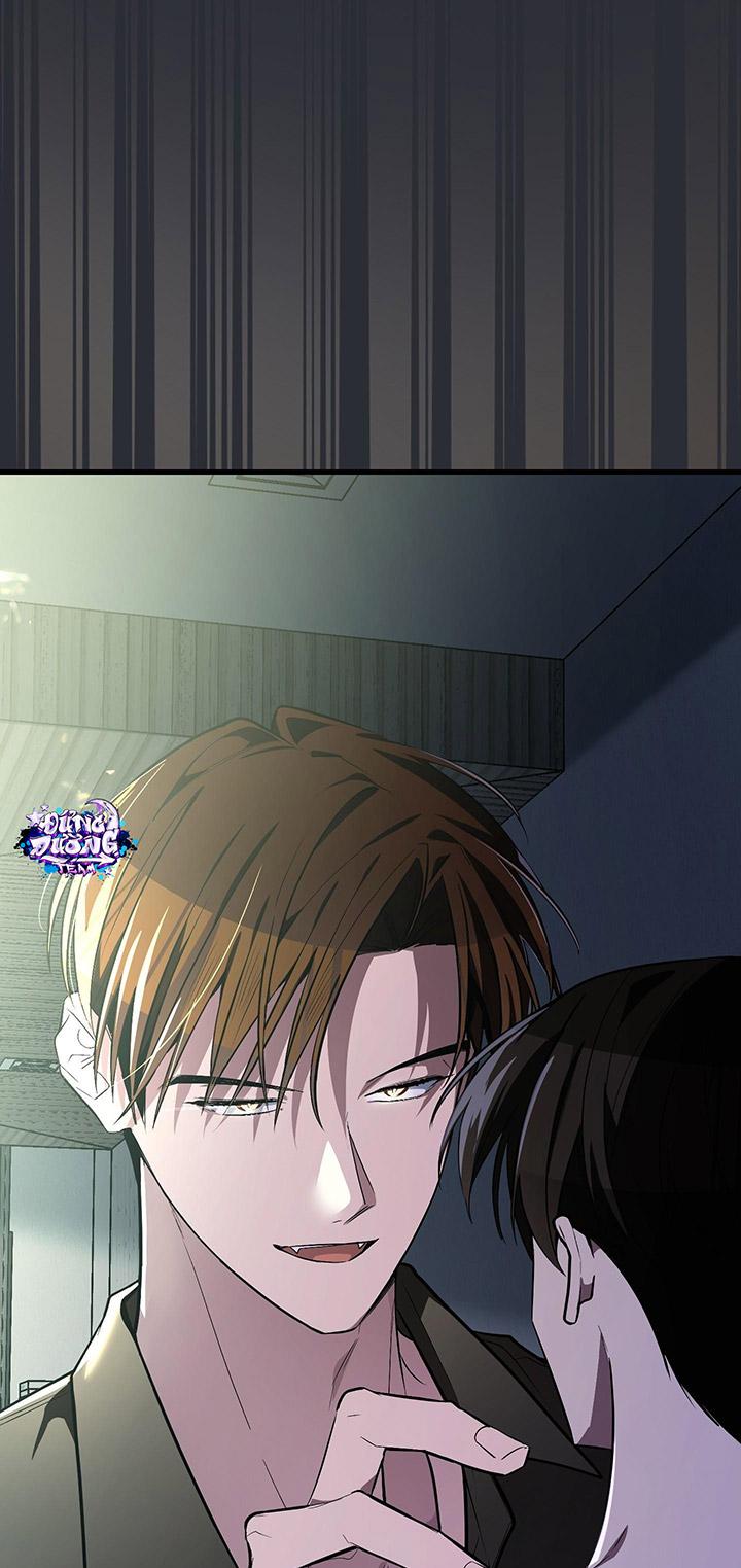 [DDT] HÃY SINH NHẤT MIÊU HÀI WILDCAT, NHƯ BẤT DỤC KIẾN NGÃ PHÁT CUỒNG! Chapter 1 19+ - Trang 2