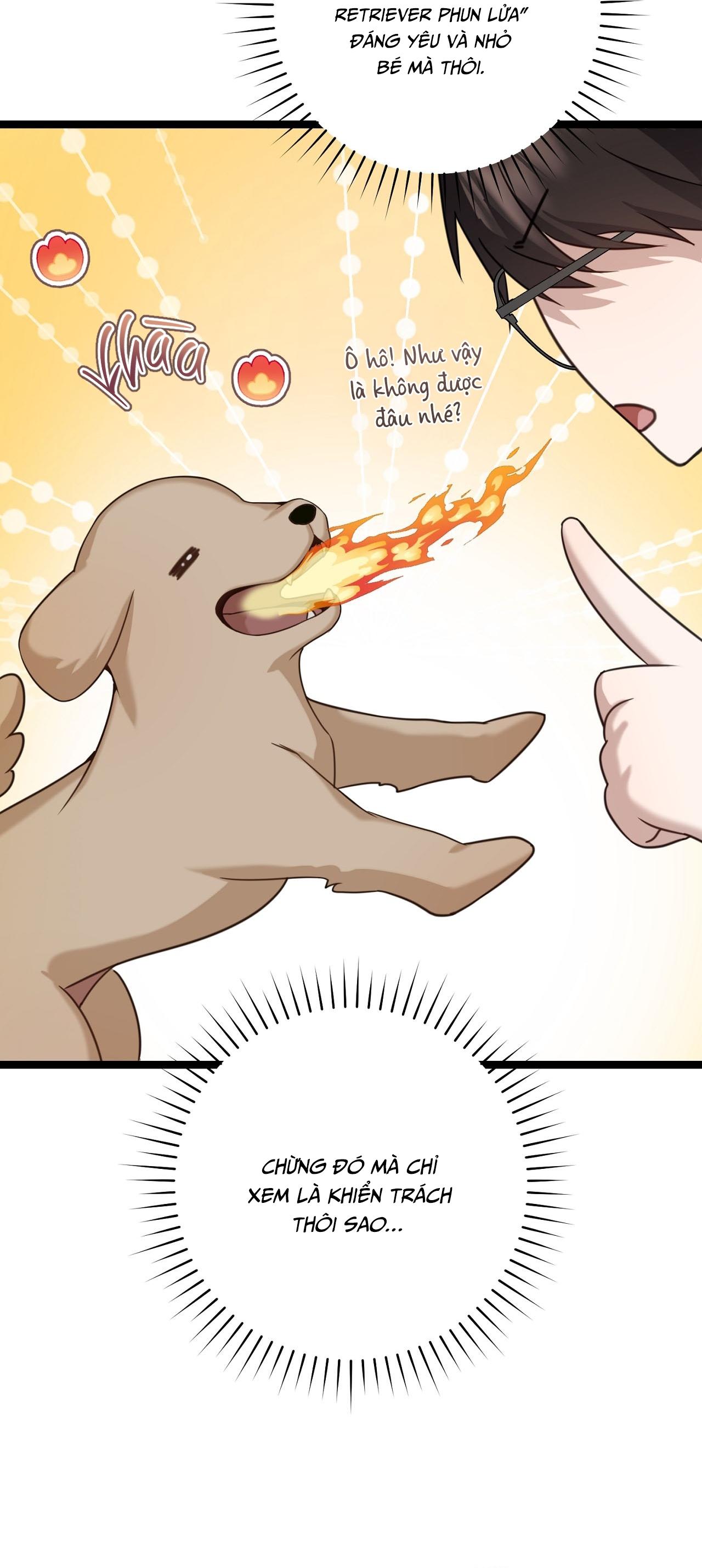 BÁU VẬT CỦA GUIDE Chapter 16 - Next 