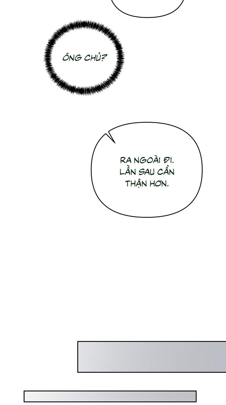 [DDT] KẺ ĐÁNH CẮP TRÁI TIM Chapter 2 19+ - Next Chapter 3 19+