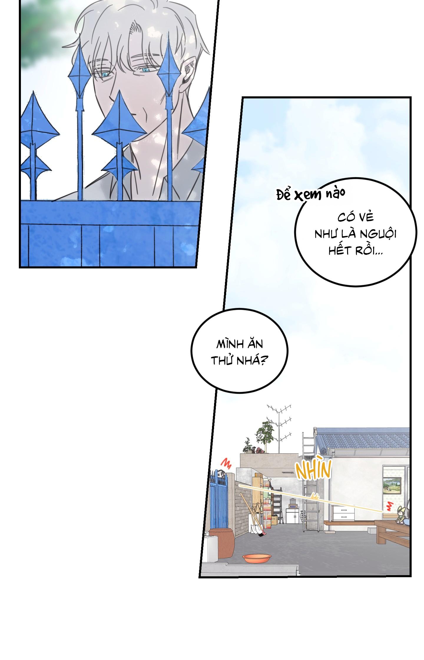 NGÔI NHÀ HƯỚNG MẶT TRỜI MỌC Chapter 52 - Next Chapter 53